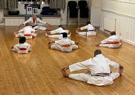 Image result for Taunton Karate academy