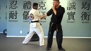 Image result for Vision Martial Arts