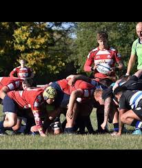 Image result for Ipswich Ym Rugby Union Football Club
