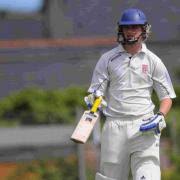 Image result for Portland Red Triangle Cricket Club