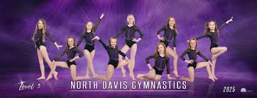 Image result for North Devon Display Gymnastics Club