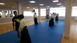 Image result for Newcastle Aikido Club