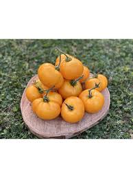 Afbeeldingsresultaat voor marmande jaune tomato
