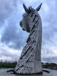 Image result for Scottish Equi Complex