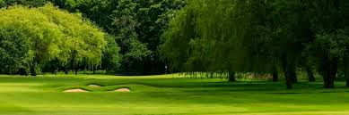 Image result for Mickleover Gc