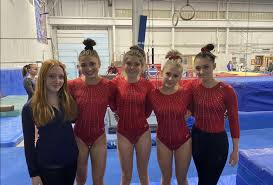 Image result for Wiltshire School Of Gymnastics