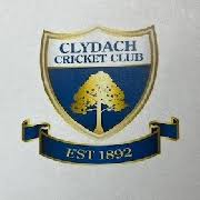 Image result for Ammanford Cricket Club