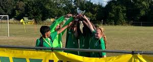 Image result for Welwyn Garden City Panshanger Football Club