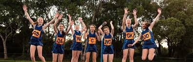 Image result for Brigg & District Netball Club