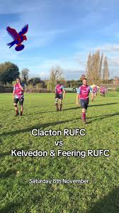 Image result for Clacton Rugby Union Football Club