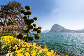 Image result for "Parco Ciani"