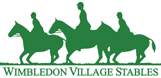 Image result for South Weylands Equestrian