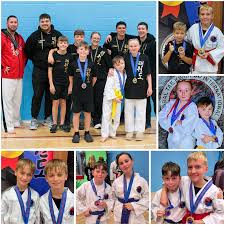 Image result for North Wilts Taekwondo
