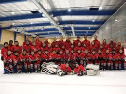 Image result for Streatham Youth Ice Hockey Club