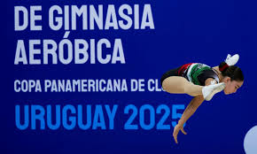 Image result for Aero Gymnastics Club