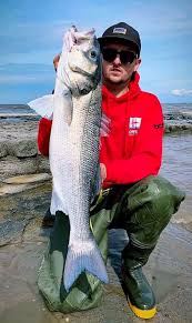 Image result for Bristol Channel Sea Fishing