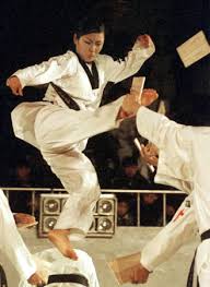 Image result for South Bank Taekwondo