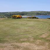 Image result for Cardigan Golf Club