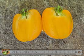 Afbeeldingsresultaat voor belarus orange tomato