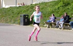 Image result for Framlingham Badminton Club