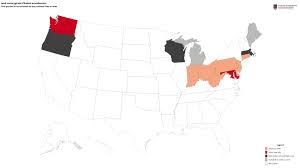 Attēlu rezultāti vaicājumam “Phalaroides arundinacea fruit”