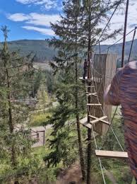 Image result for Go Ape! Whinlatter