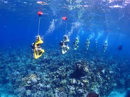 Image result for Underwater Adventures