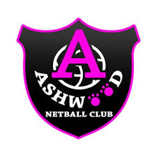 Image result for Alfa Netball Club
