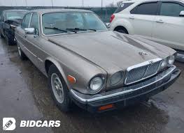 Image result for Silver Birch 1987 Jaguar