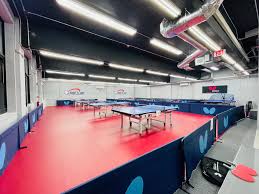 Image result for Teddington Table Tennis Club