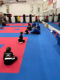 Image result for Skillz Martial Arts