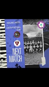 Image result for Louth United Football Club