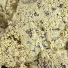 Attēlu rezultāti vaicājumam “Lecanora albella”