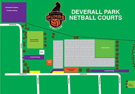 Image result for Pumas Netball Club