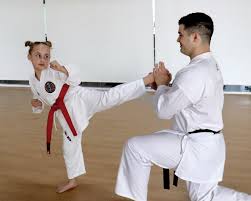 Image result for Haslemere Karate Club