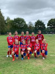 Image result for Hassocks Ladies FC