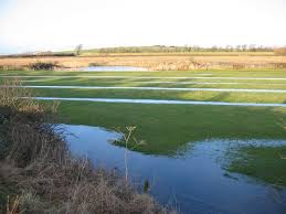 Image result for Luneside & Rosebank Bowling Club