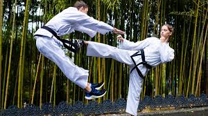 Image result for National Forest Taekwon-do