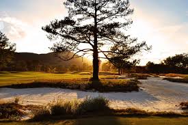 Image result for South Holderness Gc