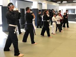 Image result for Springwood Karate