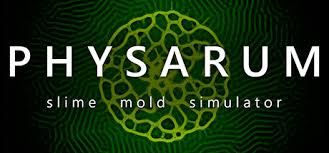 Attēlu rezultāti vaicājumam “Physarum orbis”