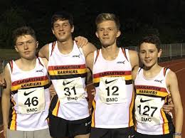 Image result for Pembrokeshire Harriers