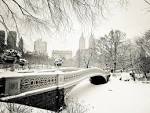 New York Winter -  Central .
