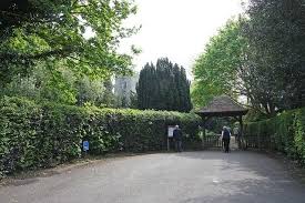 Image result for Worplesdon Tennis Association