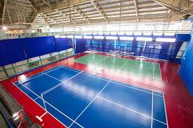 Image result for Appledore Badminton Club