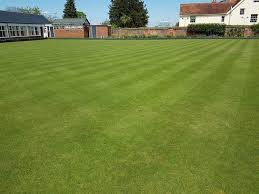 Image result for University Of Reading Bowls Club