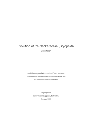 Attēlu rezultāti vaicājumam “Thamnobryum subserratum sporophyte”