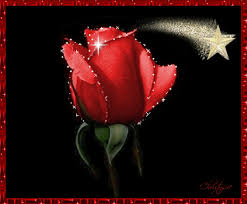 [صورة: images?q=tbn:ANd9GcQnY6QsEmMXcAkX5hsRgNo...BIneJ2yiNQ]