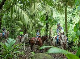 Image result for Abinger Forest Riding Club
