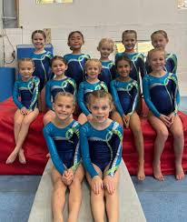 Image result for Lincoln Gymnastics Club